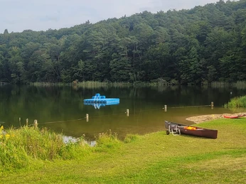 Liegewiese und Badeinsel - Badestelle Campingplatz Lütauer See.jpeg Grüne Liegewiese am See mit blauer Badeinsel im ruhigen Wasser. Wald im Hintergrund.