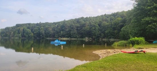 Badestelle am Lütauer See (Campingplatz) Klares Wasser mit Sandstrand und grüne Liegewiese am Lütauer See. Im Hintergrund grüne Bäume.