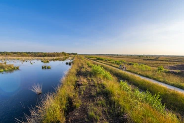 Heideblüte im Dalum-Wietmarscher Moor bei Geeste - Radfahren im Emsland ©Naturpark Moor-Veenland (10).jpg Radfahrer auf einem Weg durch blühende Heide im Moor mit Wassergraben und weitem Himmel im Emsland