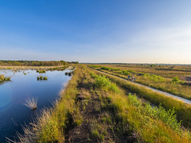 Heideblüte im Dalum-Wietmarscher Moor bei Geeste - Radfahren im Emsland ©Naturpark Moor-Veenland (10).jpg Radfahrer auf einem Weg durch blühende Heide im Moor mit Wassergraben und weitem Himmel im Emsland
