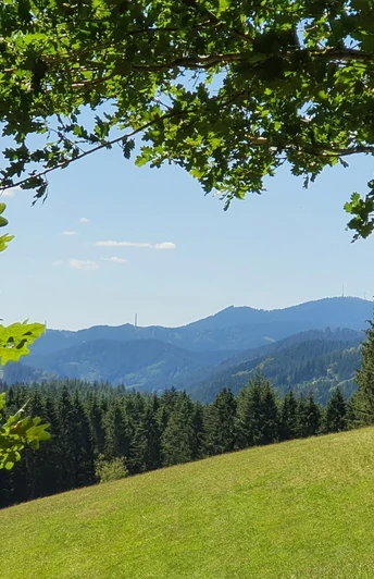 Auf dem I-Weg oberhalb der Sulz