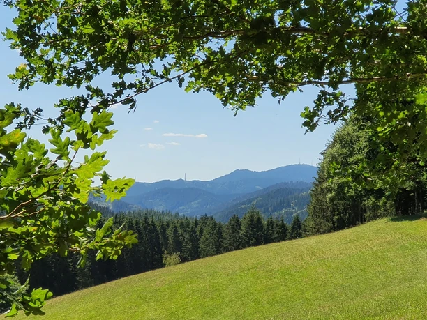 Auf dem I-Weg oberhalb der Sulz