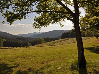 Blick von der Hütte am I-Weg