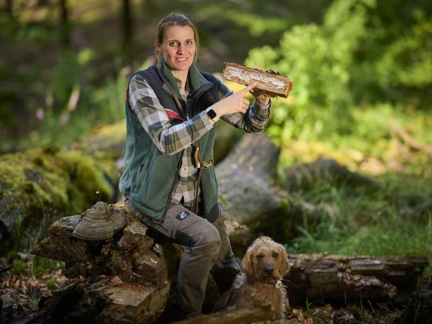 Baumrinde