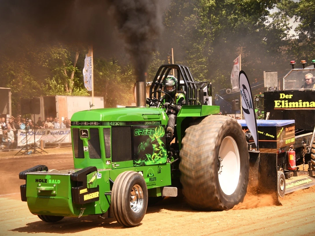 Green Molli Green Molli