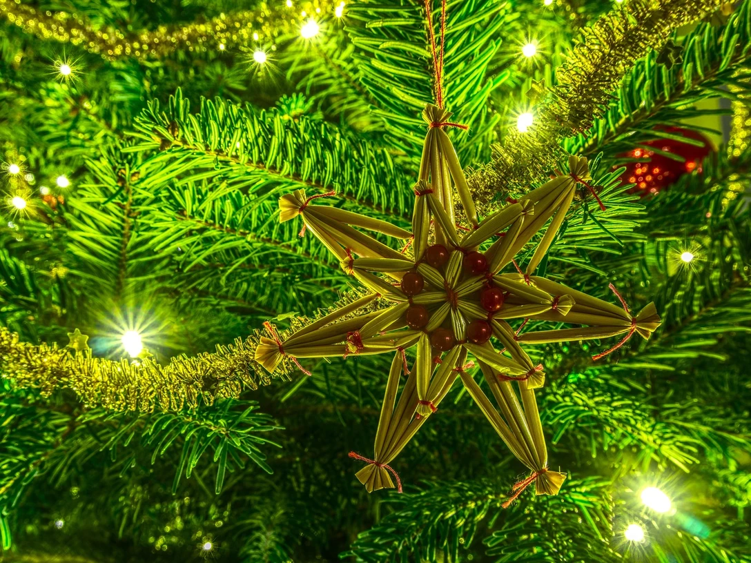 SMG_Weihnachtsausstellung_Foto Markus Distelrath, Pixabay.jpg