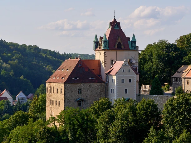 Schloss Kuckuckstein in Liebstadt Schloss auf einem Hügel umgeben von Bäumen unter blauem Himmel.
