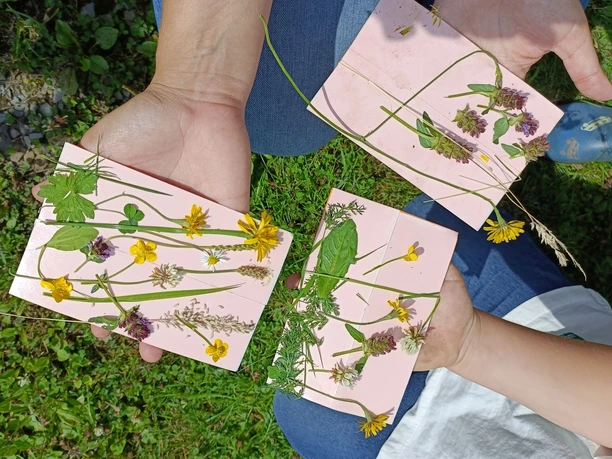 NahTour Pflanzenbilder