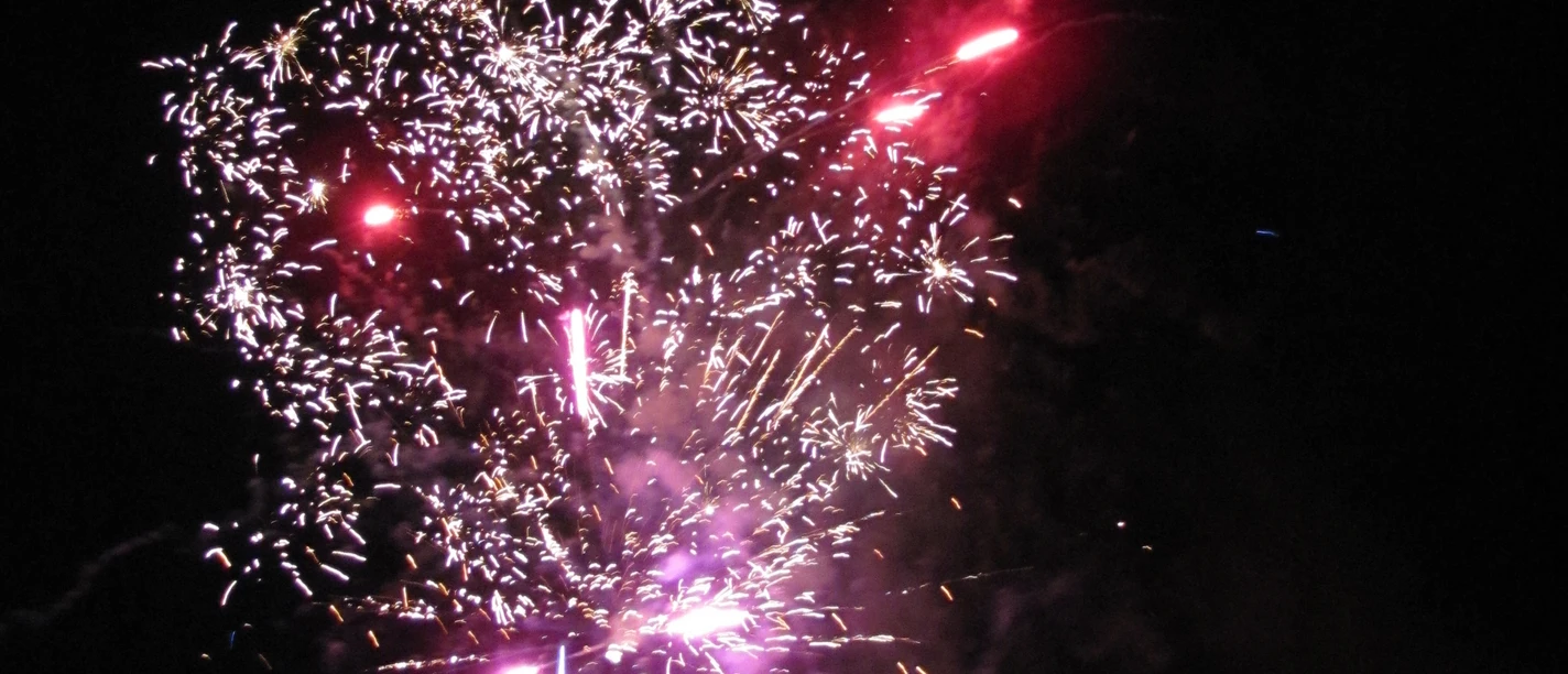 Kleurrijk vuurwerk met roze en paarse vonken verlicht de nachtelijke hemel in levendige pracht.