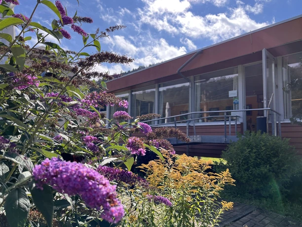 Restaurant "Zum Echtner" met bloeiende paarse en gele bloemen op de voorgrond op een zonnige dag.