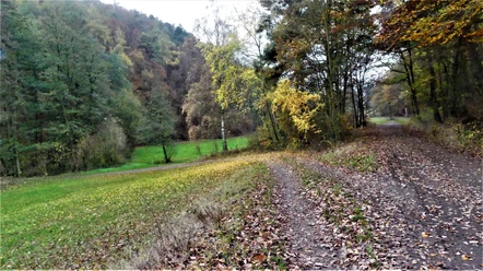 Herbstimpressionen im Wölftetal