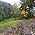 Herbstimpressionen im Wölftetal