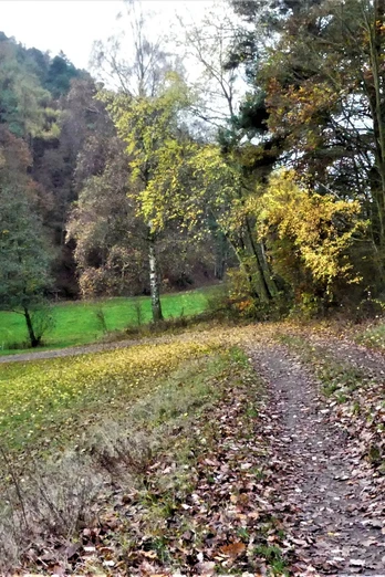 Herbstimpressionen im Wölftetal