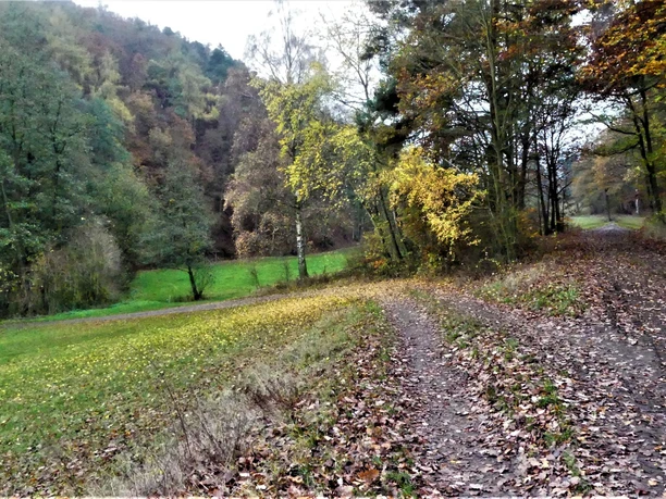 Herbstimpressionen im Wölftetal
