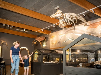 Gram Lergrav (c)MSJ (6)