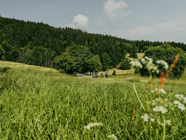 über Felder und Wiesen