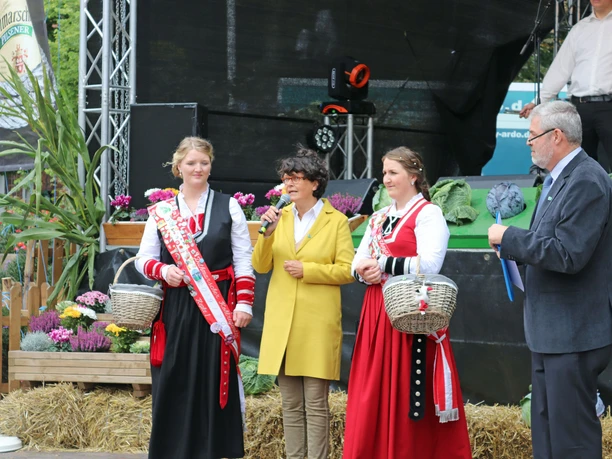 Marner Stadtfest 2019