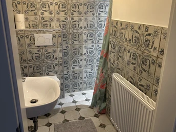 Badezimmer I Kuhstall.jpeg Kleines Bad mit Waschbecken, Dusche mit Vorhang und Heizung an der Wand.