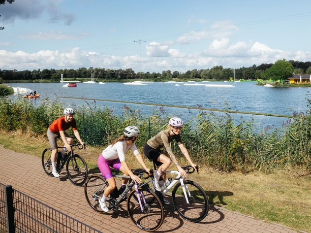 Am Alfsee Ferien- und Erholungspark Radfahren am Alfsee entlang des Ufers, auf gut ausgebauten Wegen durch offene, flache Landschaft.