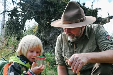 Insektenkunde mit Ranger für Kinder