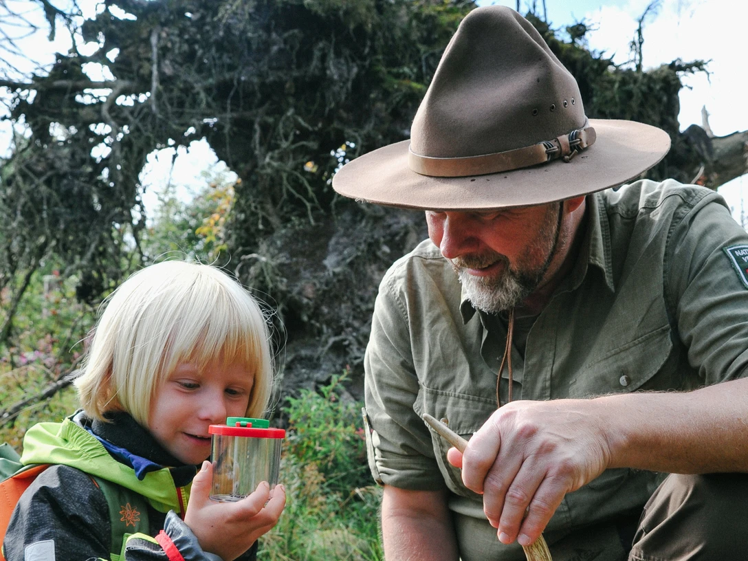 Insektenkunde mit Ranger für Kinder