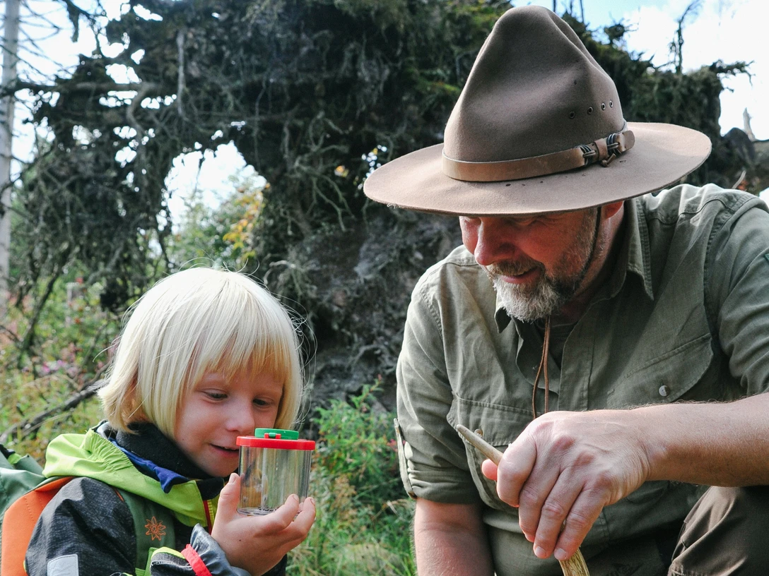 Insektenkunde mit Ranger für Kinder