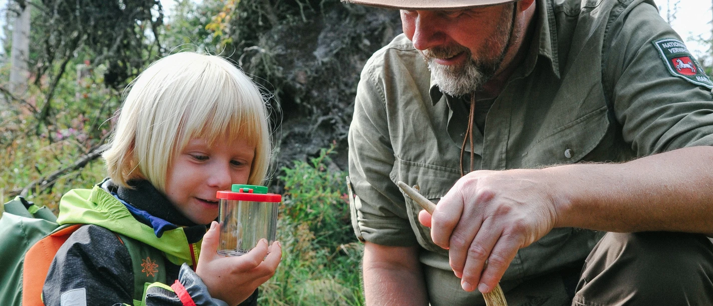 Insektenkunde mit Ranger für Kinder
