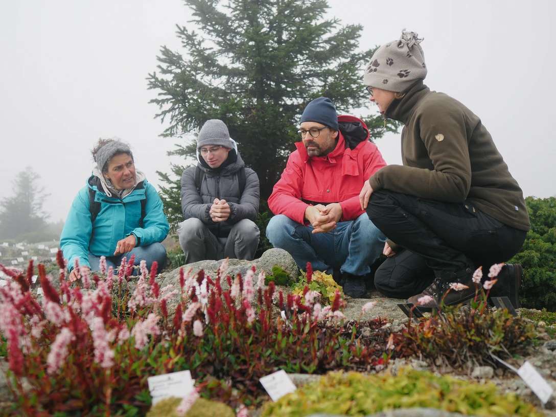Brockengarten Führung