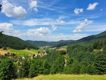 Ausblick von der SchwarzenkopfstraĂźe hinunter nach Seebach eingerahmt von Wiesen und Wald