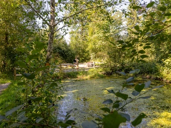 Feuerstelle Weiher in Flühli