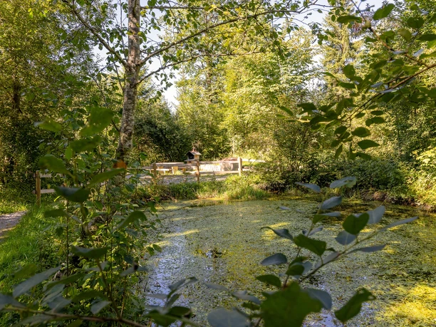 Feuerstelle Weiher in Flühli