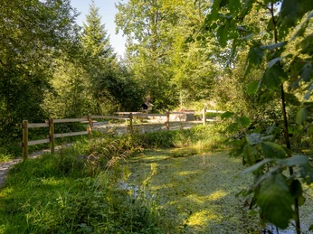 Feuerstelle Weiher in Flühli