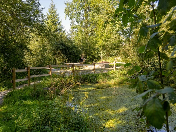 Feuerstelle Weiher in Flühli