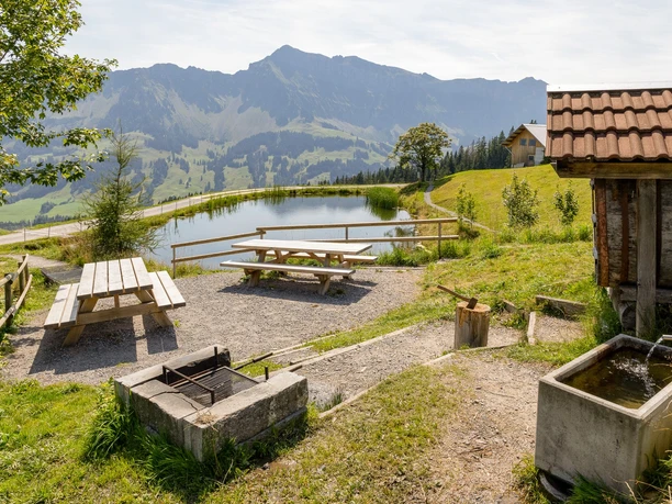 Feuerstelle See auf der Marbachegg