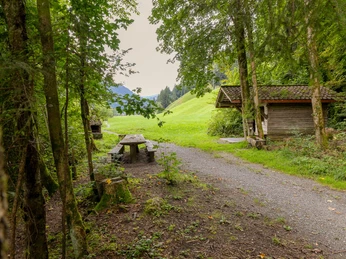 Feuerstelle Willis Träumli in Wiggen