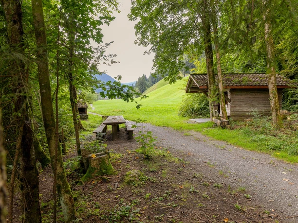 Feuerstelle Willis Träumli in Wiggen