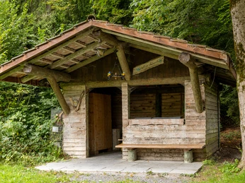 Feuerstelle Willis Träumli in Wiggen