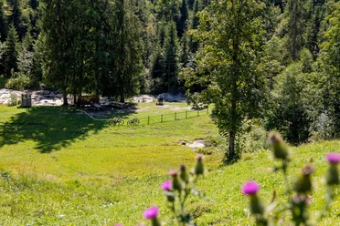 Feuerstelle Schneeberg in Sörenberg