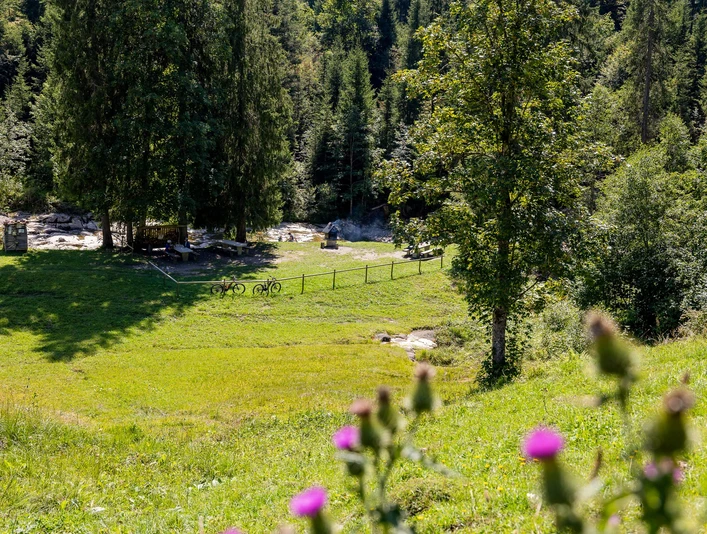 Feuerstelle Schneeberg in Sörenberg