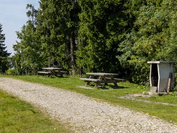 Feuerstelle Wald auf der Marbachegg