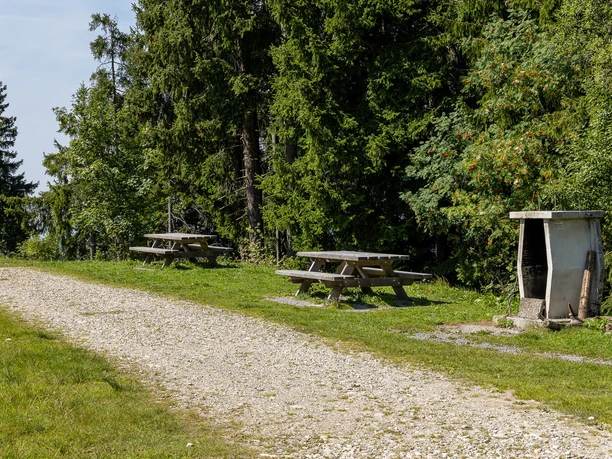 Feuerstelle Wald auf der Marbachegg