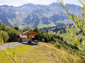 Feuerstelle Laui oben in Sörenberg