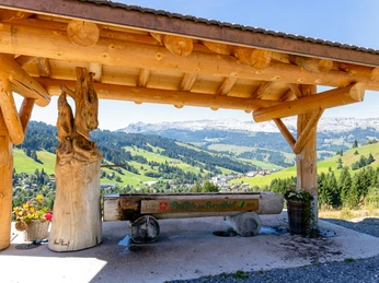 Feuerstelle Laui oben in Sörenberg