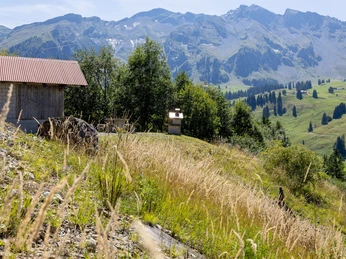 Feuerstelle Laui oben in Sörenberg