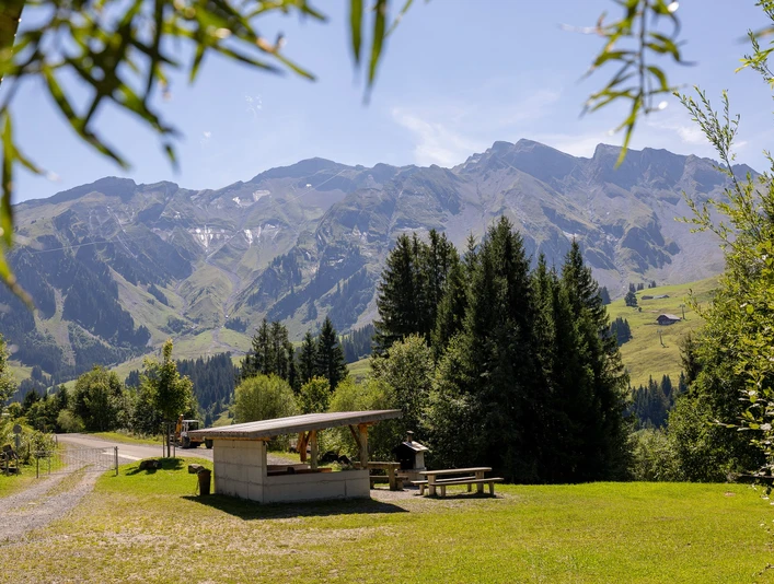 Feuerstelle Laui unten in Sörenberg