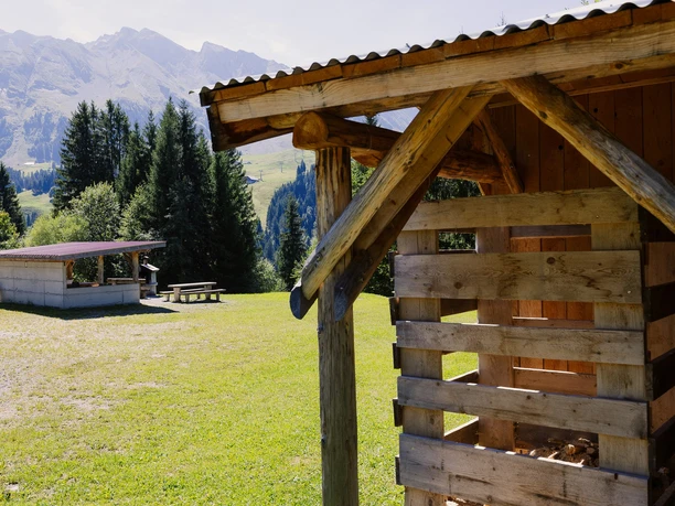 Feuerstelle Laui unten in Sörenberg