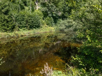 Feuerstelle Schachenhusweiher zwischen Wiggen und Marbach