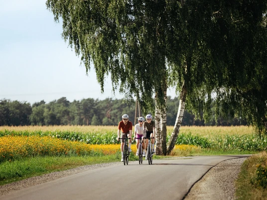 Landschaft im Osnabrücker Land