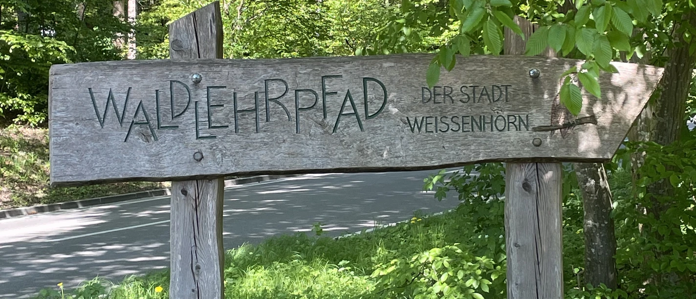 Streifzüge Schallerweiherweg Waldlehrpfad Das Bild zeigt ein Holzschild im Grünen, das auf den Waldlehrpfad der Stadt Weißenhorn hinweist.