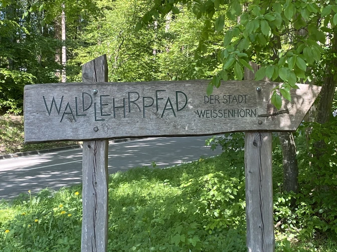 Streifzüge Schallerweiherweg Waldlehrpfad Das Bild zeigt ein Holzschild im Grünen, das auf den Waldlehrpfad der Stadt Weißenhorn hinweist.